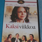 Dvd - Kaksi viikkoa - Steve Stockman -elokuva 2006 - pikkukuva 1