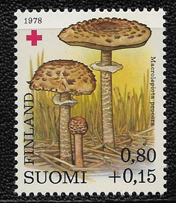 Punainen risti 0,80+0,15mk 1978 (LAPE 830) **