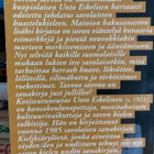TAVVOO SAVVOO - pikkukuva 2