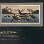 Ristipistomalli Giants of the Sea / Dimensions - pikkukuva 2