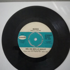 MUSKA Kirjoita Postikorttiin Single Scandia KS 846 v. 1971 - pikkukuva 2