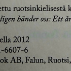 Merete Mazzarella - Ainoat todelliset asiat: vuosi elämästä - pikkukuva 2