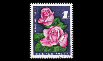 Unkari 2768 o Ruusunäyttely (1972)