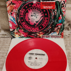 Joey Ramone Christmas Spirit... In My House 10" - pikkukuva 1