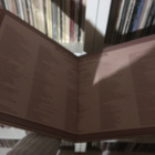 (LP) Brian Alexander Robertson - "Wringing Applause" - pikkukuva 2