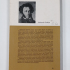 Aleksandr Puskin : Dubrovskij - pikkukuva 2