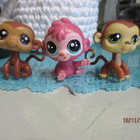 Littlest Pet Shop Apinat ja Gorilla - pikkukuva 1