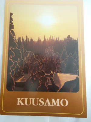 Tykkypuita vasten auringonvaloa - Kuusamo
