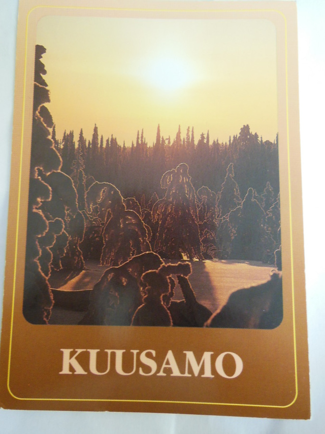Tykkypuita vasten auringonvaloa - Kuusamo