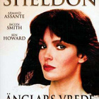 Sidney Sheldon's Rage of Angels / Enkelten raivo 2-DVD - pikkukuva 1