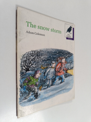 Adam Coleman : The Snow Storm -