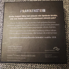 Frankenstein Mary Shelley ÄÄNIKIRJA - pikkukuva 2