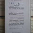 F.M. Dostojevski - Pelurit (nid.) - pikkukuva 2