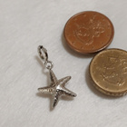 Design Hopeinen riipus, meritähti Hela 925 Starfish Charm - pikkukuva 2