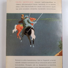 Unto Seppänen : Synnin miilu - pikkukuva 2