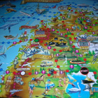 Wild Lapland lautapeli - pikkukuva 4