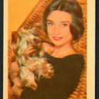 Keräilykuva - Audrey Hepburn Star B Bilder 251 - pikkukuva 1