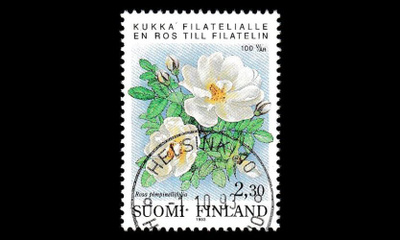 1203 o Järjestäytynyt filatelia loisto Helsinki 1.10.93 (1