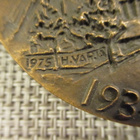 Imatran Voimassa 1934-1975 mitali /H.Varja 1975. - pikkukuva 3