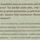 Kathrin Passig: Elämä järjestykseen ilman rahtuakaan - pikkukuva 3