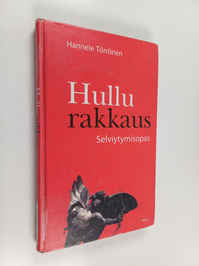 Hannele Törrönen : Hullu rakkaus : selviytymisopas