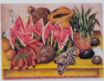 FRIDA KAHLO/ELÄMÄN PELÄSTYTTÄMÄ MORSIAN