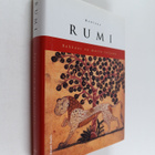 Dzalaladdin Rumi : Rakkaus on musta leijona - pikkukuva 1