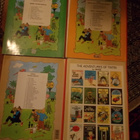 TINTIN - pikkukuva 2