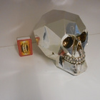 SILVER SKULL EDGE	(47 900)	(dod-045) 16x13cm, polystone - pikkukuva 3