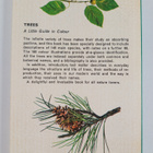 J. Bretaudeau : Trees - A guide to the trees of great Bri... - pikkukuva 2