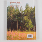 Salme Kuusela : Piikanen pientareella (signeerattu) - pikkukuva 2