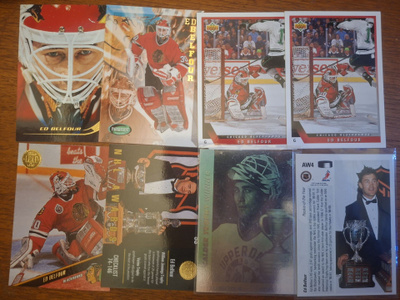 Ed Belfour (mokke) 8kpl