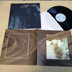 COCTEAU TWINS - Treasure LP - pikkukuva 2