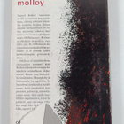 Samuel Beckett : Molloy - pikkukuva 2