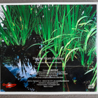 CDS: Kevin - Theme From Forever (2004) - pikkukuva 2