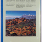Arctic flora and fauna : status and conservation - pikkukuva 2