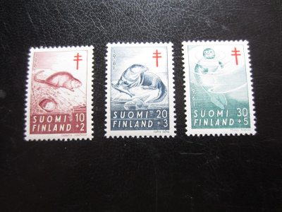 1961 TUB **