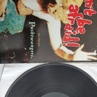 Pushtwangers : Don't Be Afraid ! Vinyyli lp - pikkukuva 1