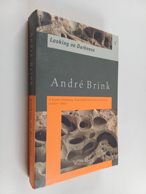 Andre Brink : Looking on darkness