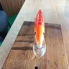 Rapala Ireland  Magnum 9cm - pikkukuva 3