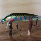 Rapala   Sinking 5cm Rainbow Trout - pikkukuva 2