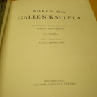 Boken om Gallen-Kallela - pikkukuva 1