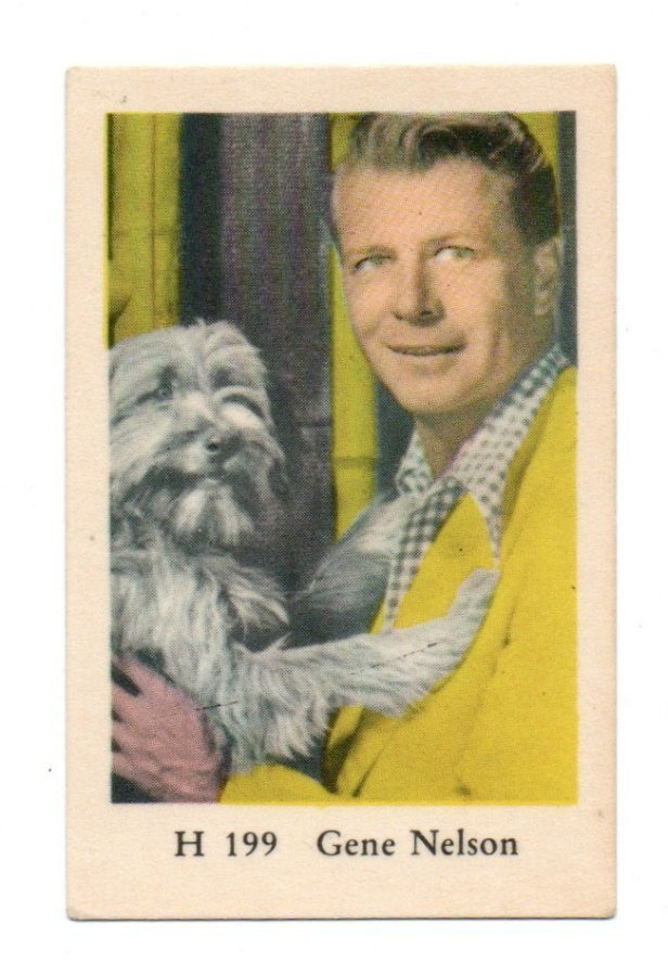Purkkakuva H n:o 199 GENE NELSON Purukumikuva