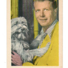 Purkkakuva H n:o 199 GENE NELSON Purukumikuva - pikkukuva 1