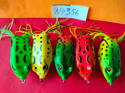 Sammakko setti No:356