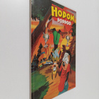 Walt Disney : Hopon poppoo - pikkukuva 1