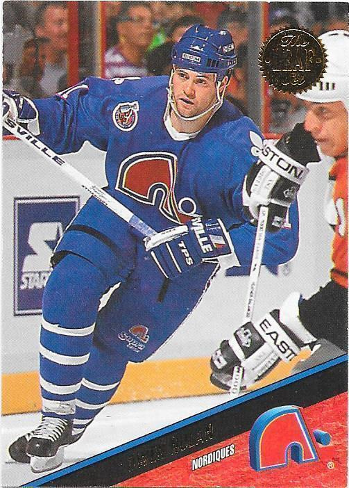 1993-94 LEAF #42 Owen Nolan Quebec Nordiques