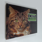 Joyce Robins : Cats - pikkukuva 1