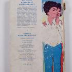 Betty Cavanna : Kadonneet koiranpennut - pikkukuva 2