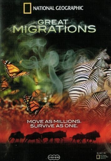 National Geographic  -  Great Migrations  -  (3 DVD)